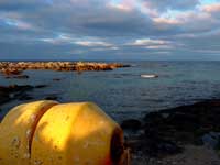 Mare