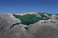 Parco Regionale delle Madonie