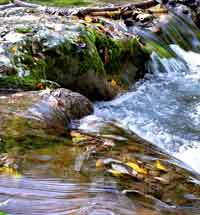 Ruscello