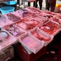 Mercado de pescado en Catania