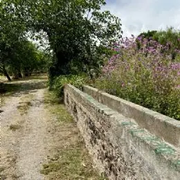 Sentier du parc d'Alcantara
